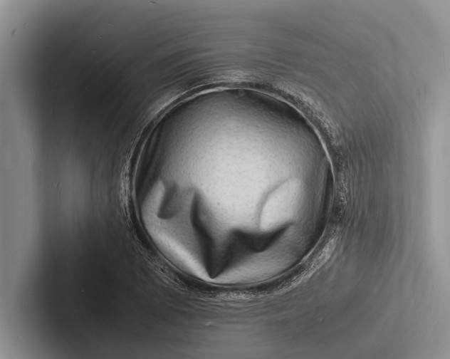 X0000103251073200809111610