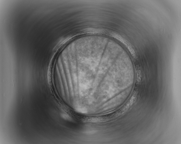 X0000103251074200809111610