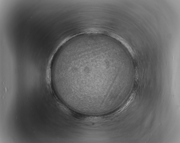 X0000103251075200809111610