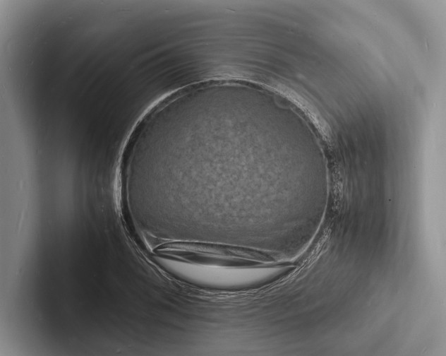 X0000103251076200809111610