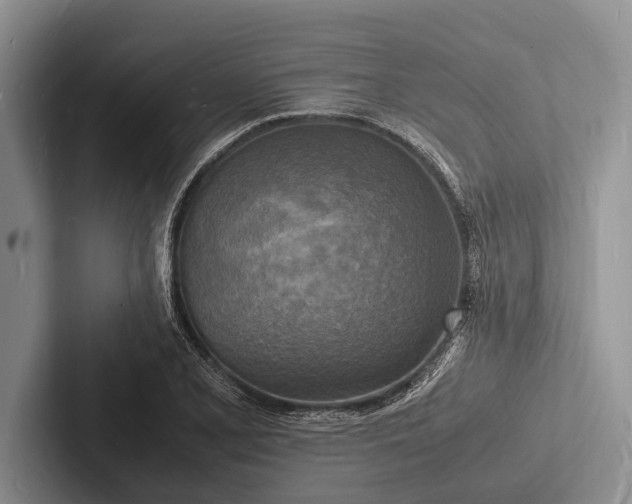X0000103251077200809111610