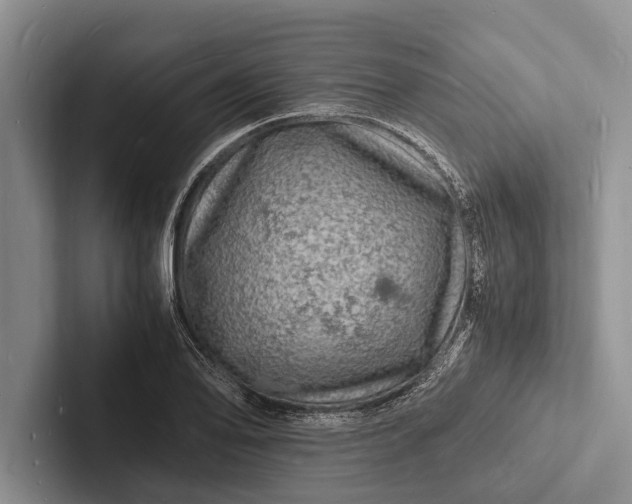 X0000103251078200809111610