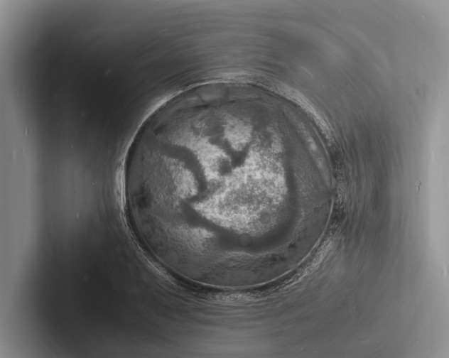 X0000103251079200809111610