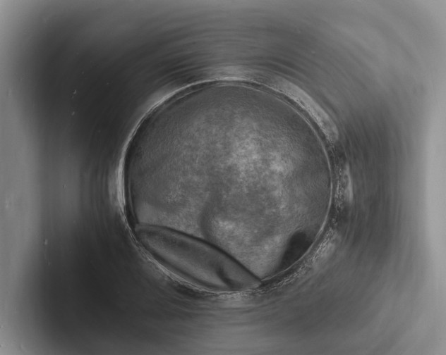 X0000103251080200809111610