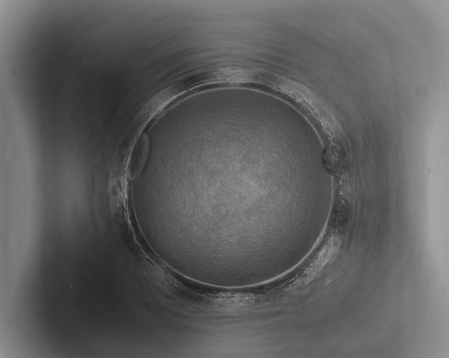 X0000103251081200809111610