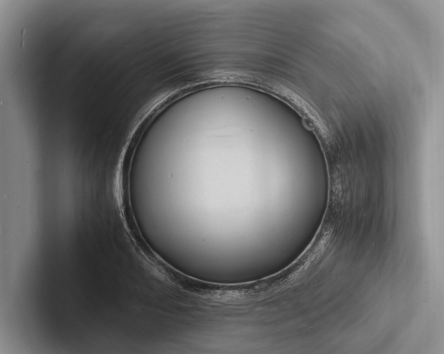 X0000103251082200809111610