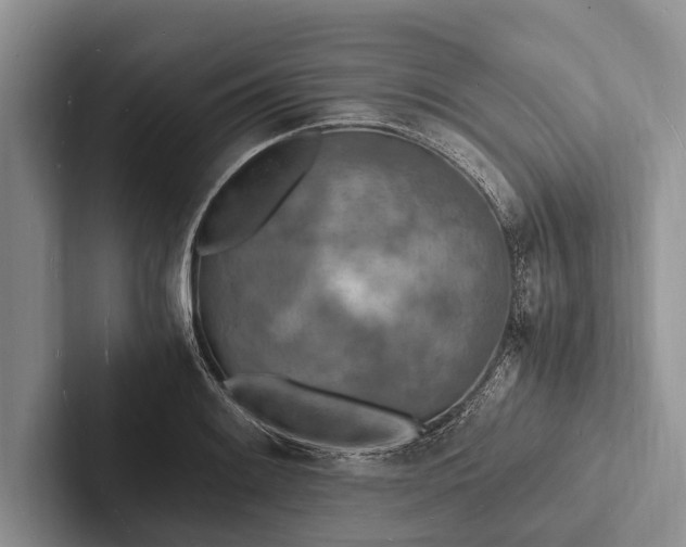 X0000103251084200809111610