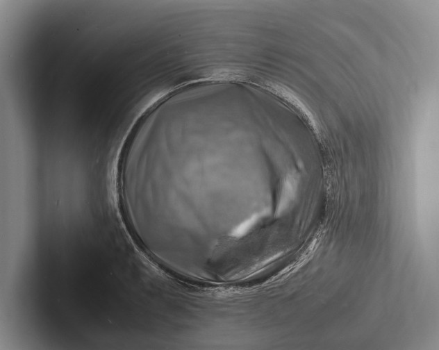 X0000103251087200809111610