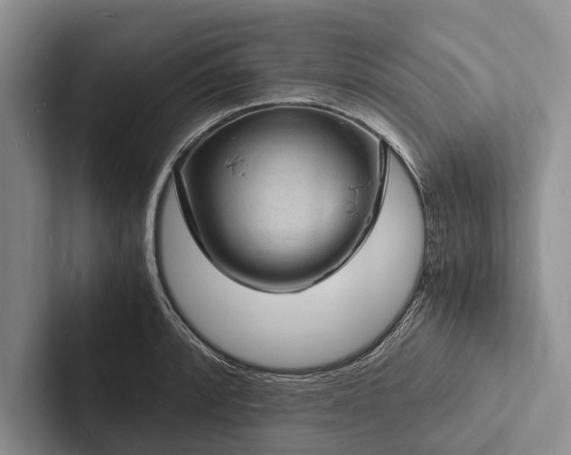 X0000103251088200809111610
