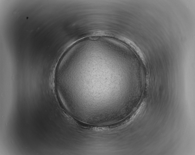X0000103251089200809111610