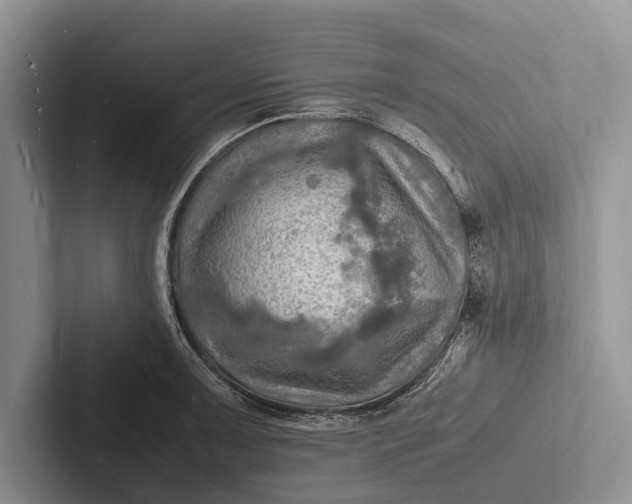 X0000103251091200809111610