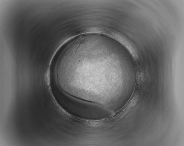 X0000103251092200809111610