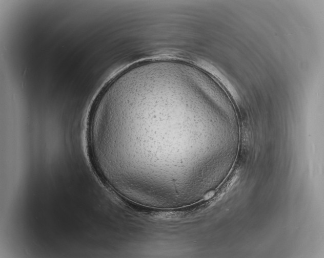 X0000103251093200809111610