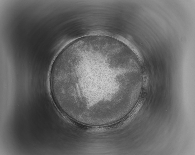 X0000103251094200809111610