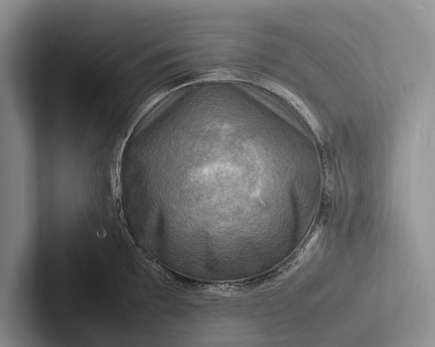 X0000103251097200809111610