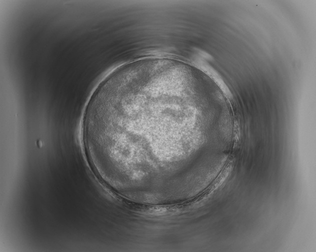 X0000103251098200809111610