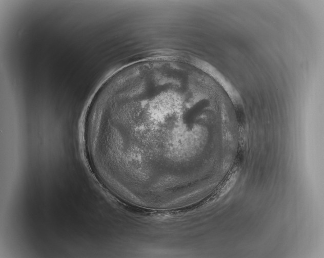 X0000103251099200809111610