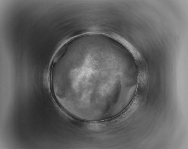 X0000103251100200809111610