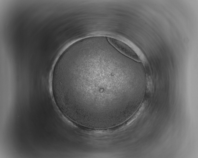 X0000103251102200809111610