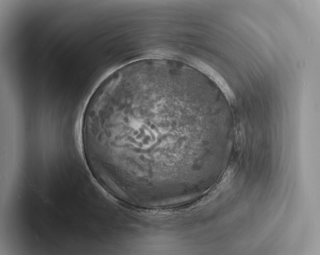 X0000103251103200809111610