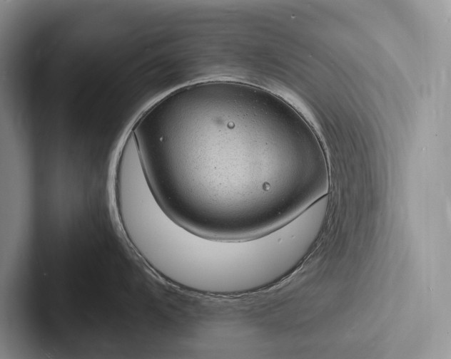 X0000103251104200809111610