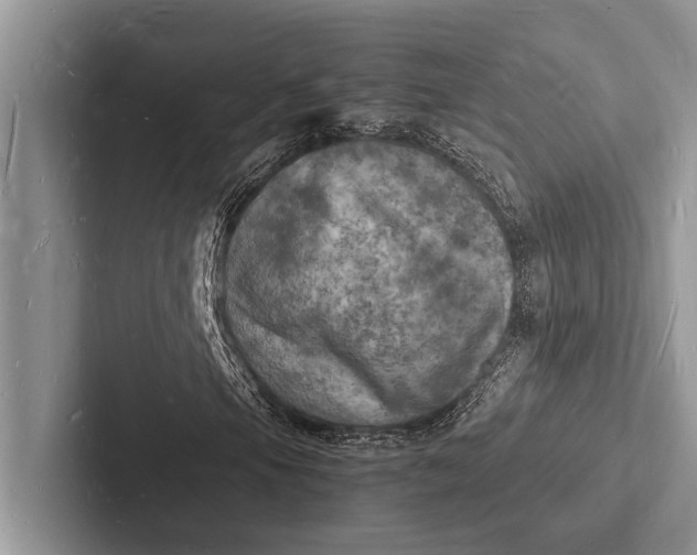 X0000103251105200809111609