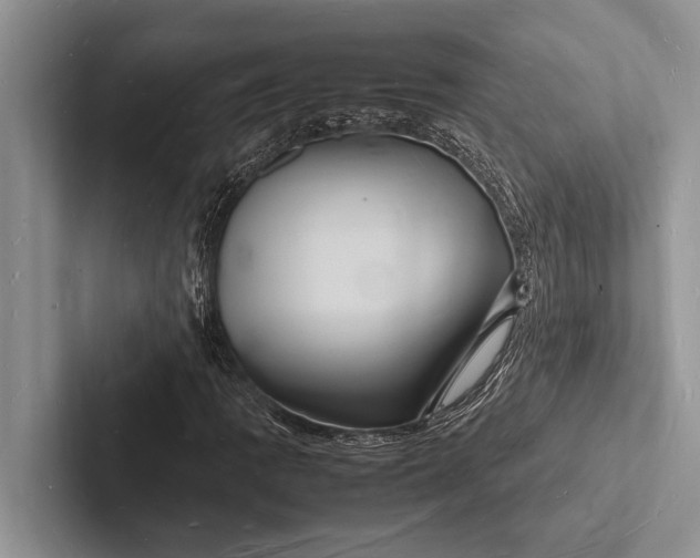 X0000103251109200809111609