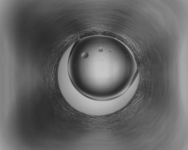 X0000103251110200809111609