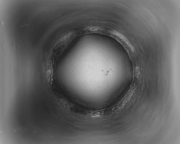 X0000103251111200809111610