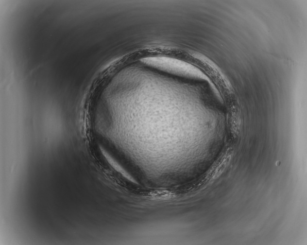 X0000103251112200809111610