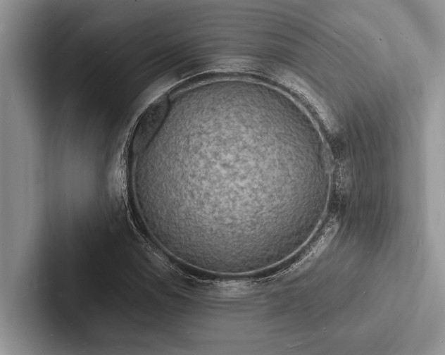 X0000103251114200809111610