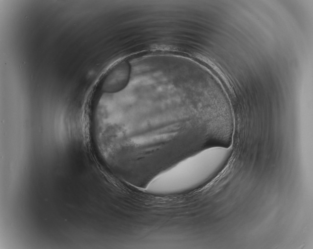 X0000103251115200809111610