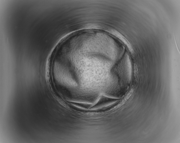 X0000103251116200809111610