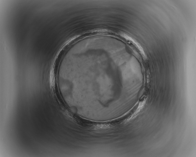 X0000103251117200809111610
