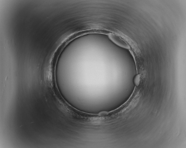 X0000103251118200809111610