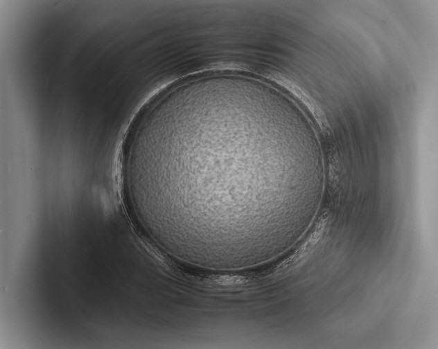 X0000103251119200809111610