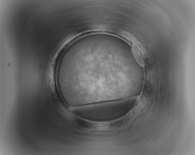 X0000103251120200809111610