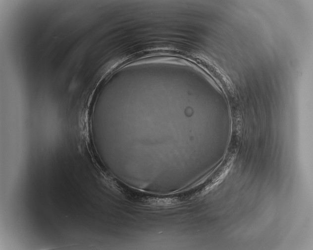 X0000103251121200809111610