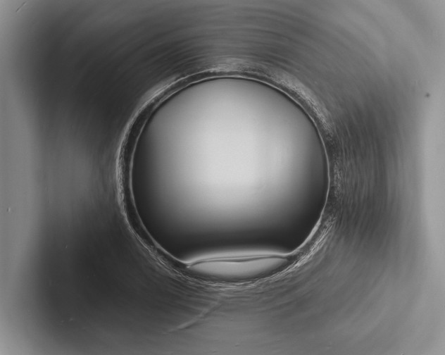 X0000103251122200809111610