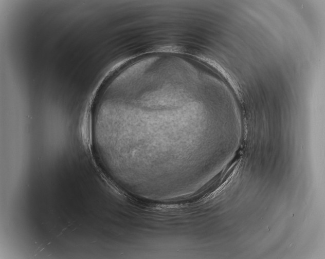 X0000103251123200809111610