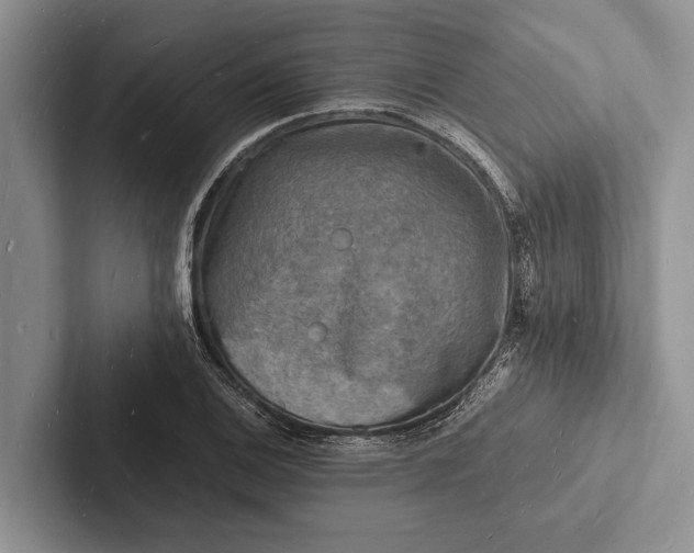 X0000103251124200809111610