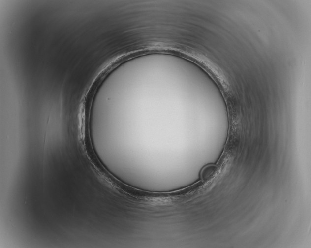 X0000103251126200809111610