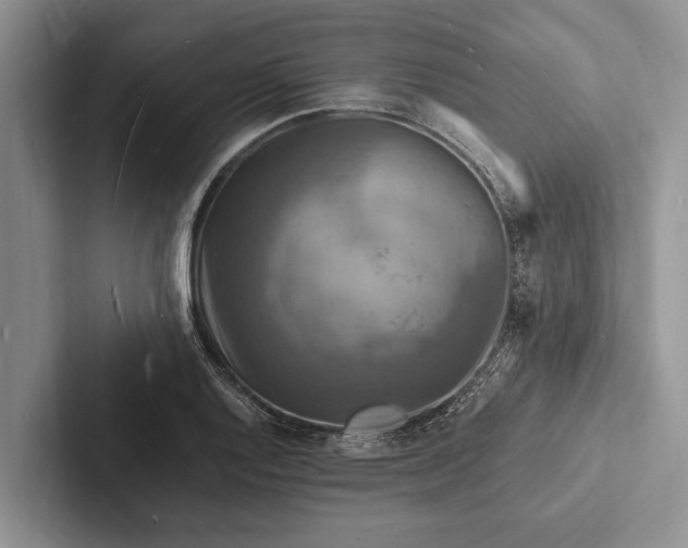 X0000103251128200809111610