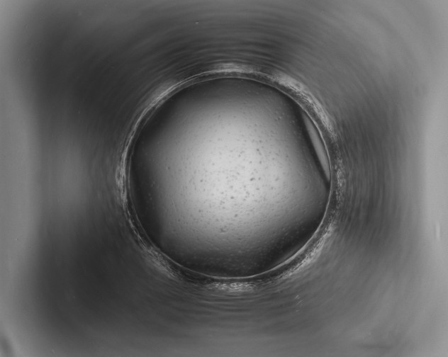 X0000103251129200809111610