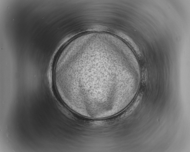 X0000103251130200809111610