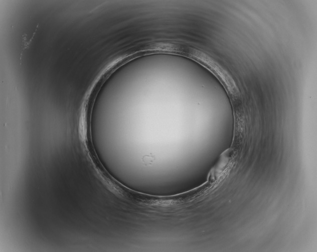 X0000103251131200809111610