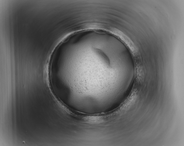 X0000103251134200809111610