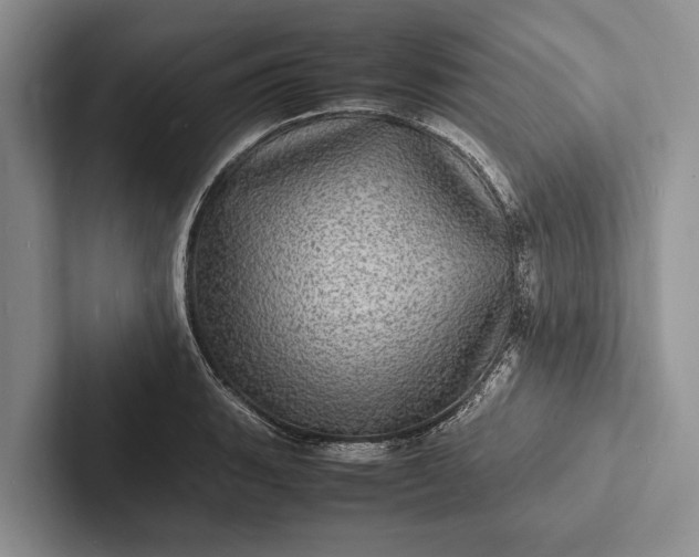 X0000103251135200809111610