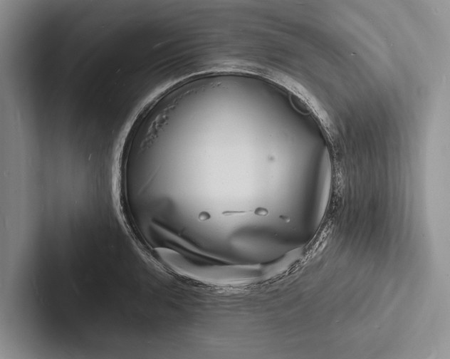 X0000103251136200809111610