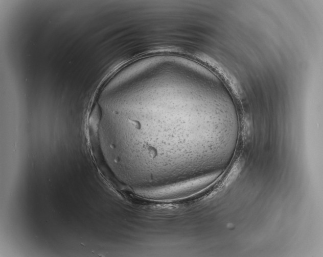 X0000103251137200809111610